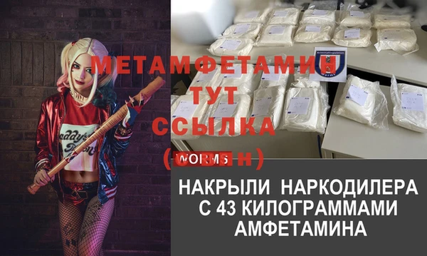 ПСИЛОЦИБИНОВЫЕ ГРИБЫ Горняк